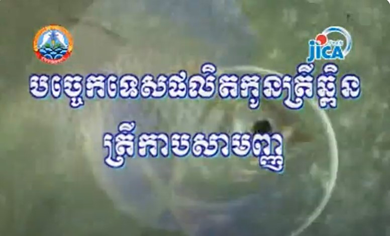 បច្ចេកទេសផលិតកូនត្រីឆ្ពិន ត្រីកាបសាមញ្ញ ភាគ (០១/ ០៥)